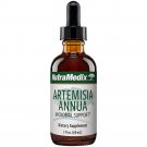 Artemisia Annua 60ml