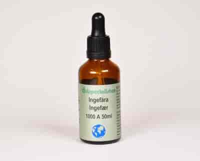 Örtspecialisten Ingefära 50ml Örtspecialisten Ingefära 50ml