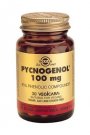 pycnogenol solgar